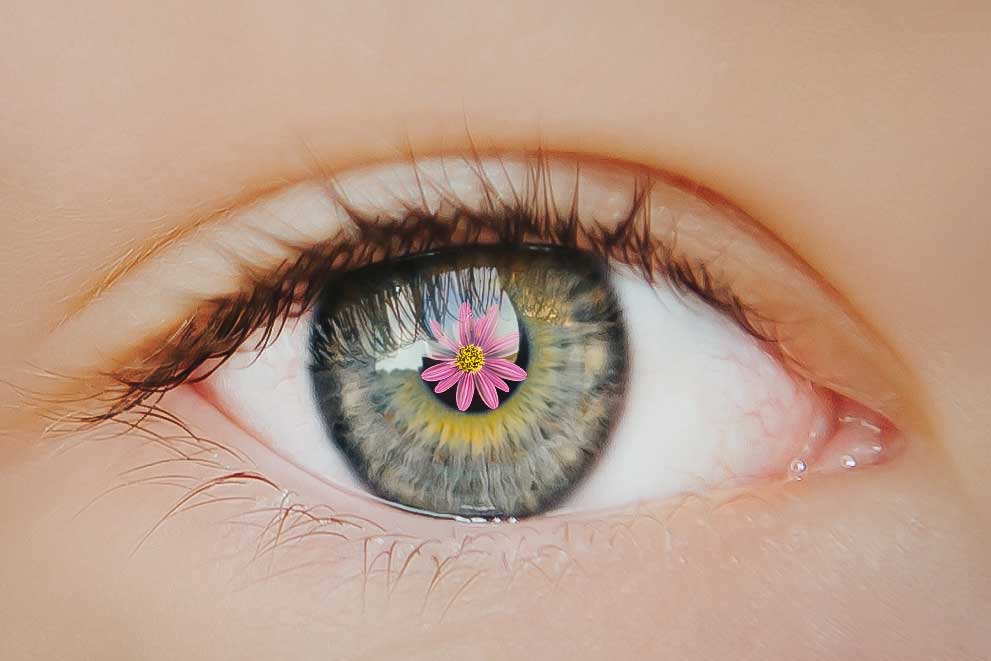 Nahaufnahme eines Auges mit Blume in der Iris &ndash; Symbolbild Augenheilkunde
